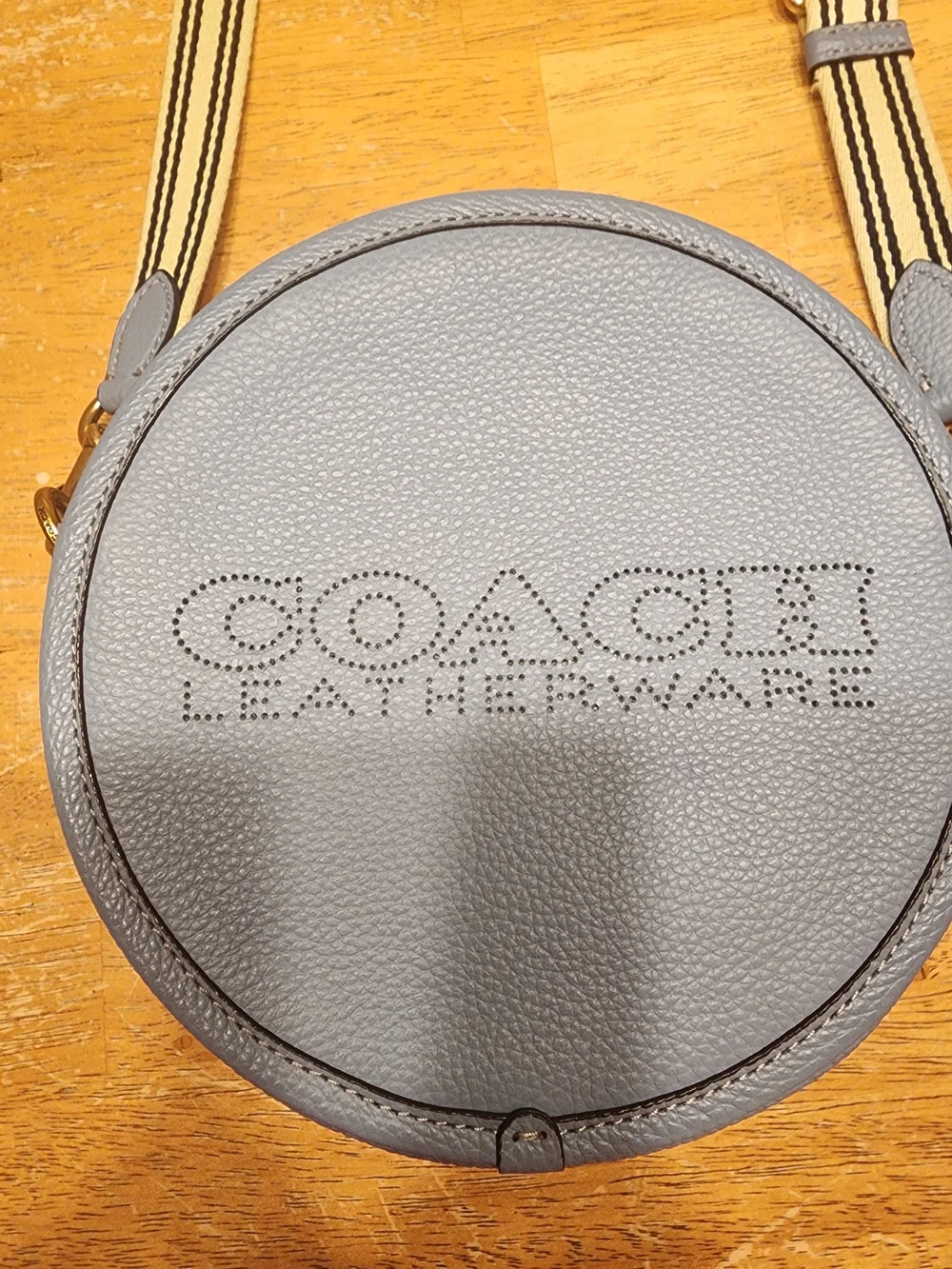 Coach Light Blue Round Crossbody Bag - Signature Leather